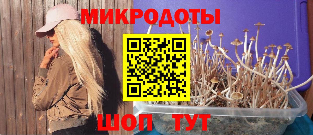 Псилоцибиновые грибы Psilocybe  Вход с VPN  Гусь-Хрустальный 